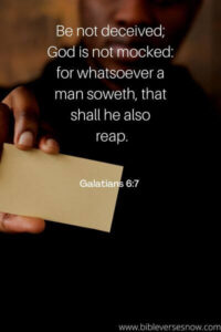 60 Bible Verses about Taking Responsibility for Your Own Actions ...