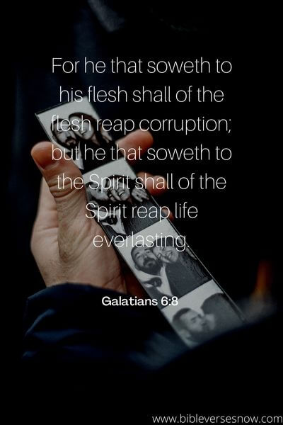 Galatians 6_8 