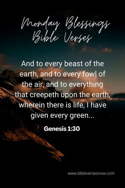 Genesis 1_30 