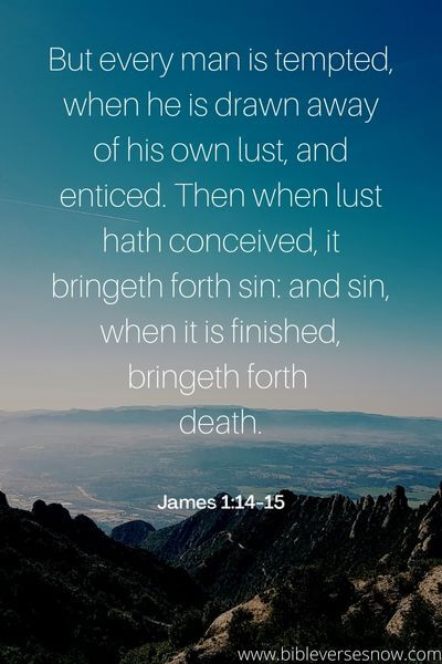 James 1_14-15