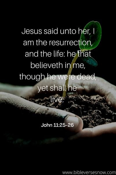 John 11_25-26 