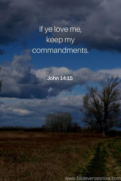 John 14_15 