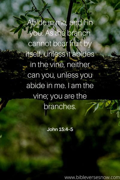 John 15_4-5