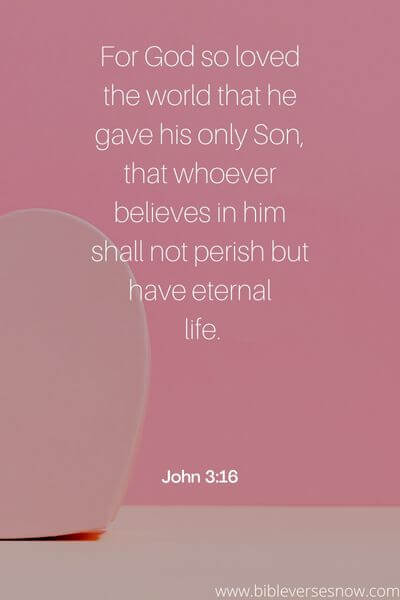 John 3_16