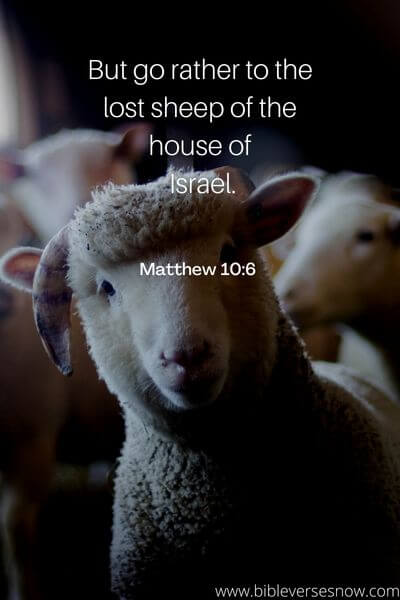 Matthew 10_6 
