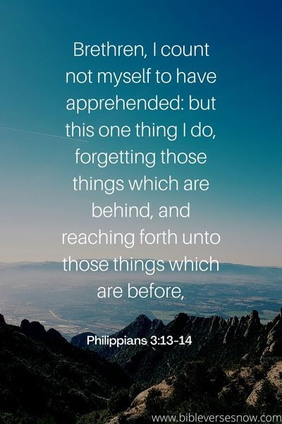 Philippians 3_13-14 