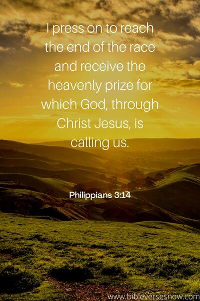 Philippians 3_14