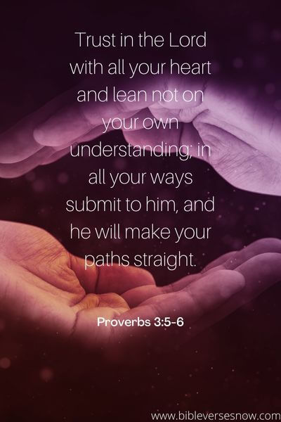 Proverbs 3_5-6