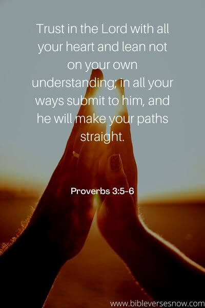 Proverbs 3_5-6