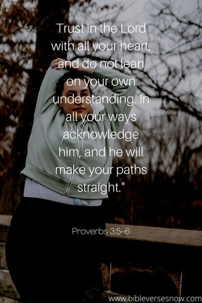 Proverbs 3_5-6