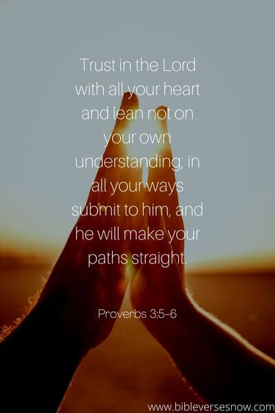 Proverbs 3_5-6