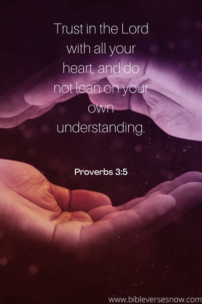 Proverbs 3_5