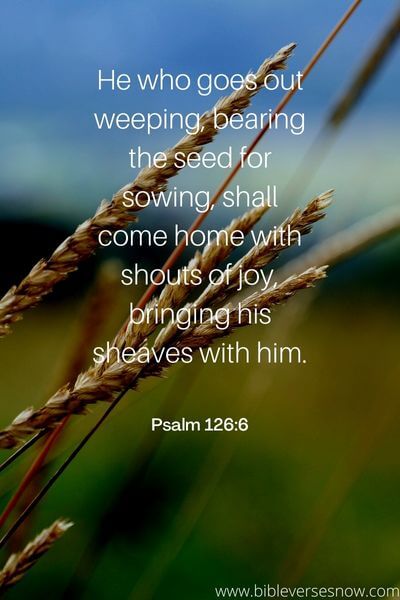 Psalm 126_6