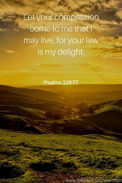 Psalms 119_77