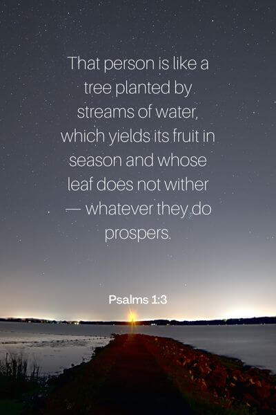 Psalms 1_3