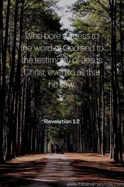 Revelation 1_2