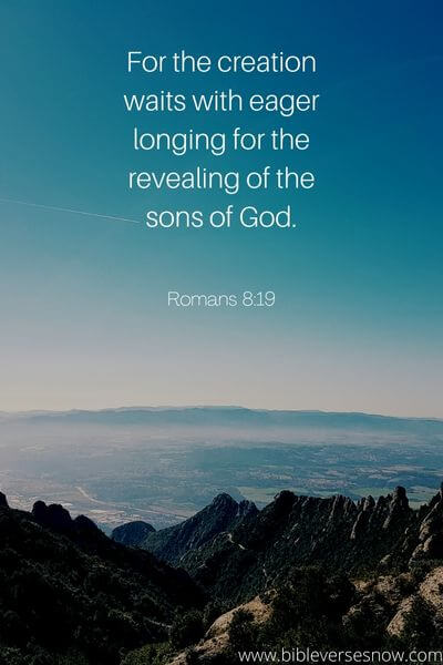 Romans 8_19