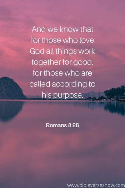 Romans 8_28