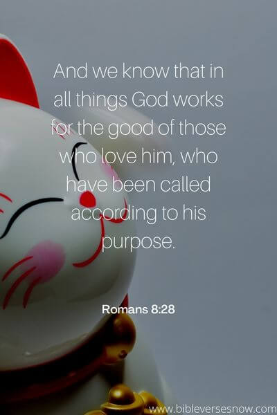 Romans 8_28