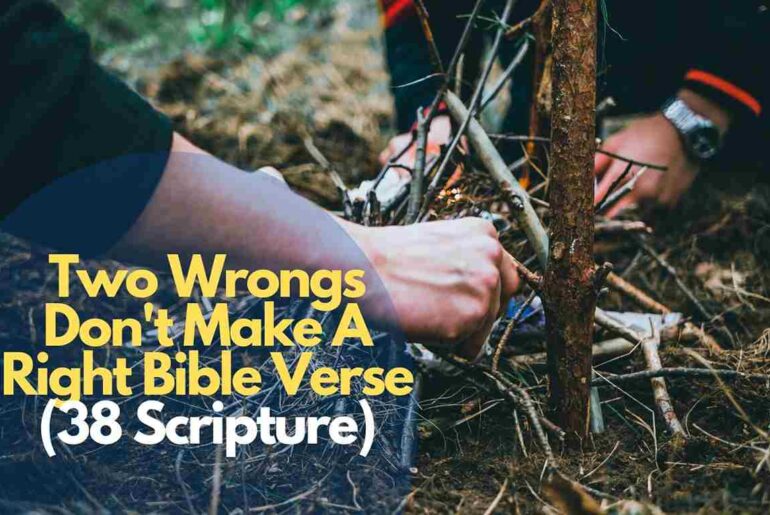 Two Wrongs Don't Make A Right Bible Verse