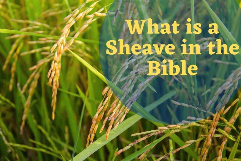 What is a Sheave in the Bible