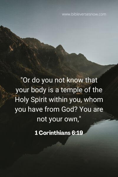 1 Corinthians 6_19