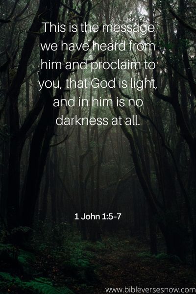 1 John 1 5 7