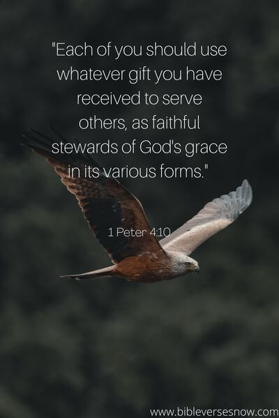 1 Peter 4_10