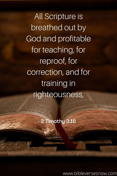 2 Timothy 3_16