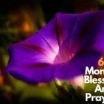 60 Monday Blessings And Prayers