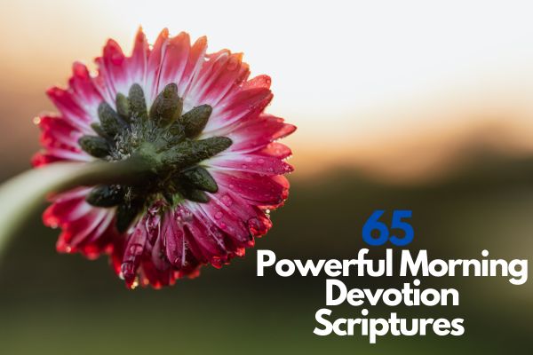 65 Powerful Morning Devotion Scriptures