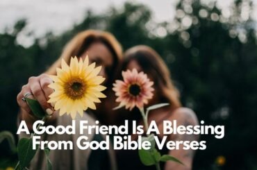 How many times did Jesus weep in the Bible – Bible Verses of the day