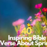 Bible Verse About Spring