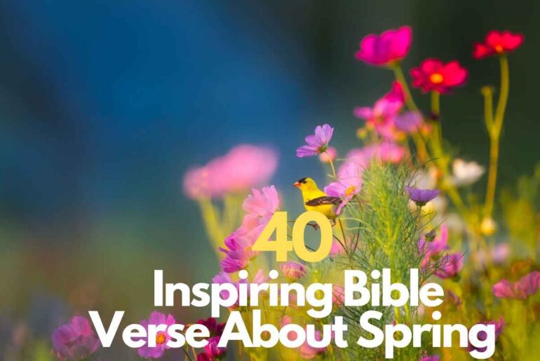 Bible Verse About Spring