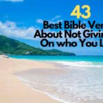 Bible Verses About Not Giving Up On who You Love