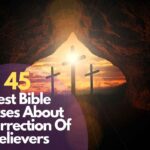 Bible Verses About Resurrection Of Believers