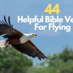 Bible Verses For Flying