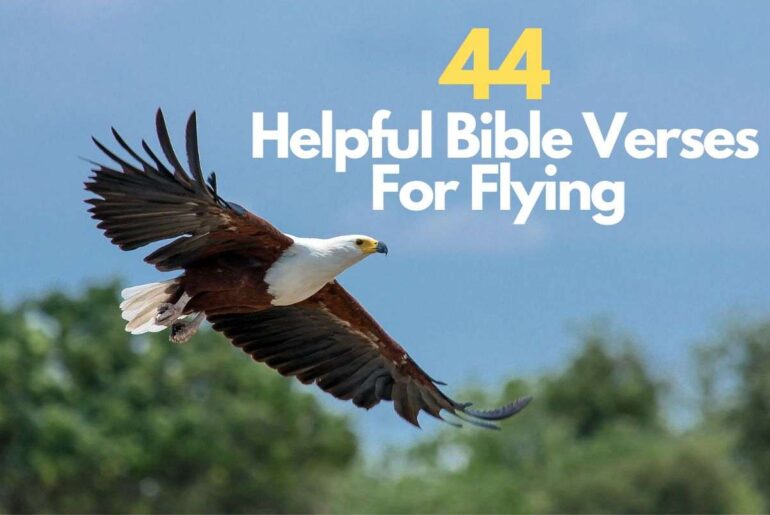 Bible Verses For Flying