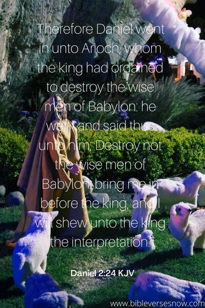 Daniel 2_24 KJV
