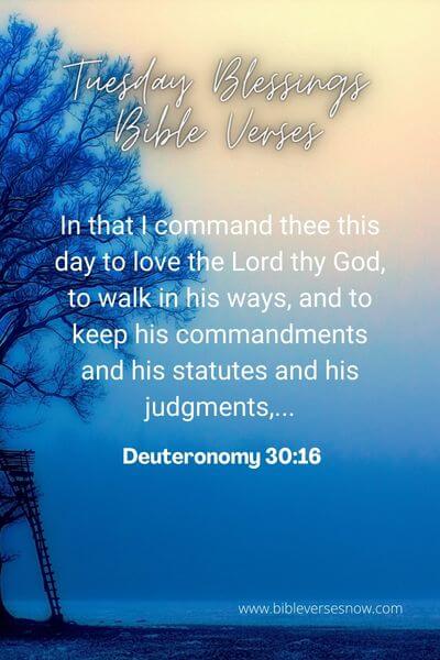 Deuteronomy 30_16