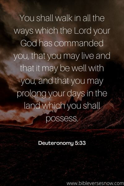 Deuteronomy 5_33