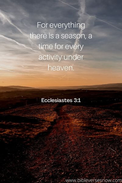 Ecclesiastes 3_1