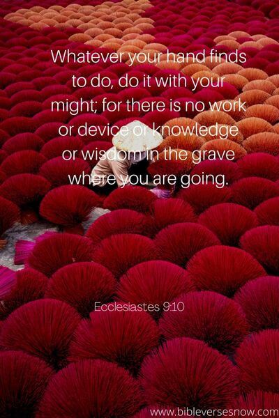 Ecclesiastes 9_10