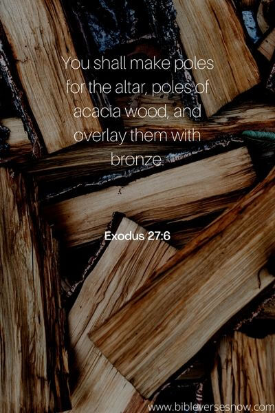 Exodus 27_6