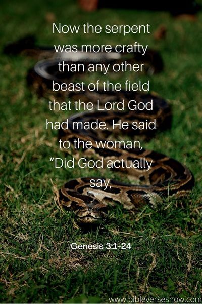 Genesis 3_1-24