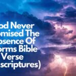 God Never Promised The Absence Of Storms Bible Verse