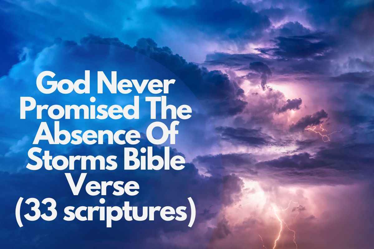 God Never Promised The Absence Of Storms Bible Verse