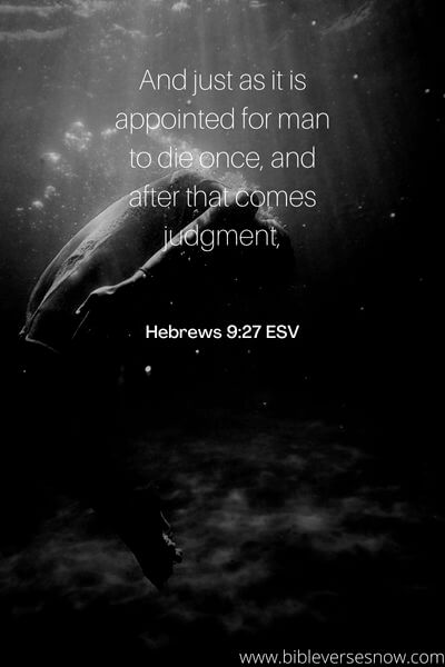 Hebrews 9_27 ESV