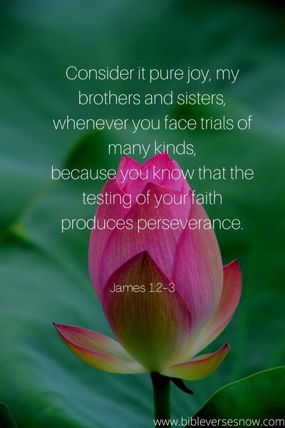 James 1_2-3