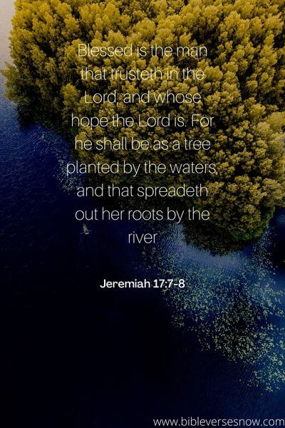 Jeremiah 17_7-8